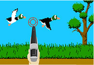 Duck Hunting